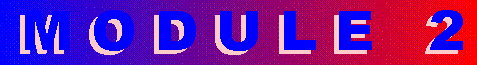 Module 2 gif