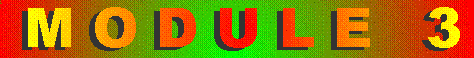 Module 3 gif