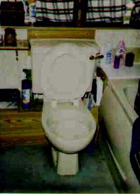 toilet.JPG (17647 bytes)