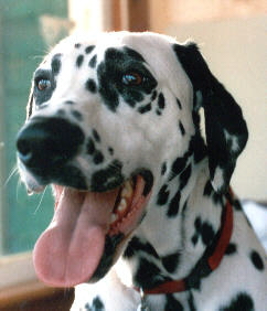Sooo HANDSOME!