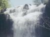 More
Chittenango Falls